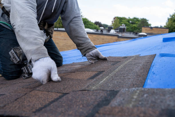 Best Residential Roof Replacement  in Blanding, UT