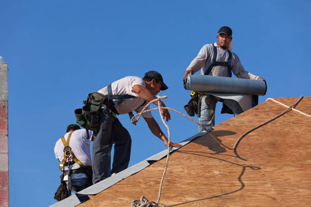 Best New Roof Installation  in Blanding, UT