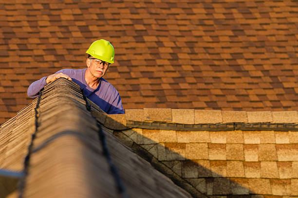 Best Roof Gutter Cleaning  in Blanding, UT